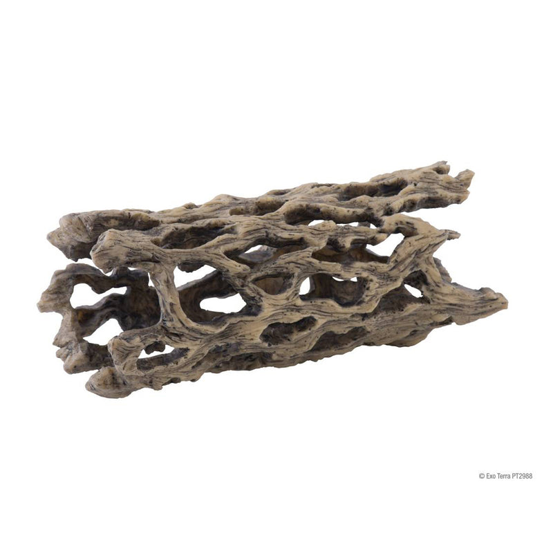Reptile Cholla Cactus Skeleton SM-MED-LG
