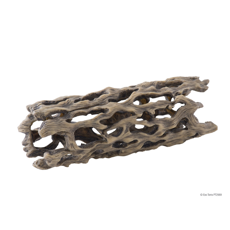Reptile Cholla Cactus Skeleton SM-MED-LG
