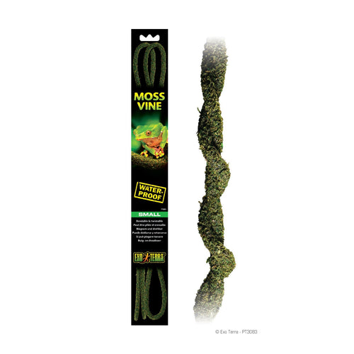 Moss Decorative Vines Reptile Terrarium SM-LG