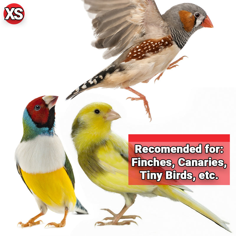 Hagen Gourmet Seed Mix for Finches - 1 kg (2.2 lb) - Exotic Wings and Pet Things
