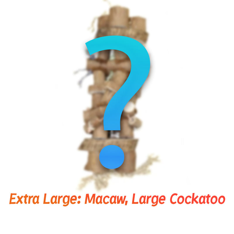 Exotic Wings Parrot Package ™ Bird Toy Care Package
