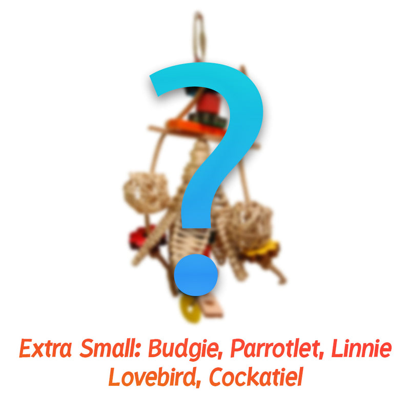 Exotic Wings Parrot Package ™ Bird Toy Care Package

