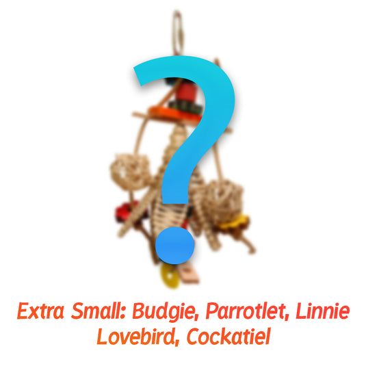 Exotic Wings Parrot Package ™ Bird Toy Care Package