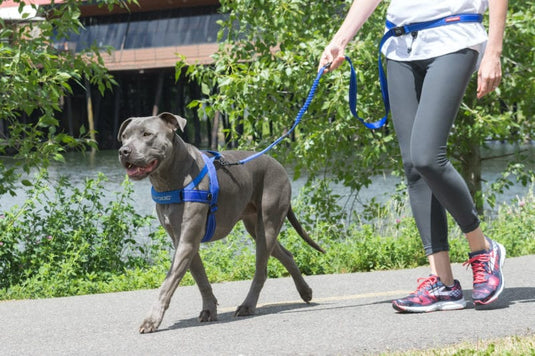 EzyDog Quick Fit Harness - Extra Large (21-42in)