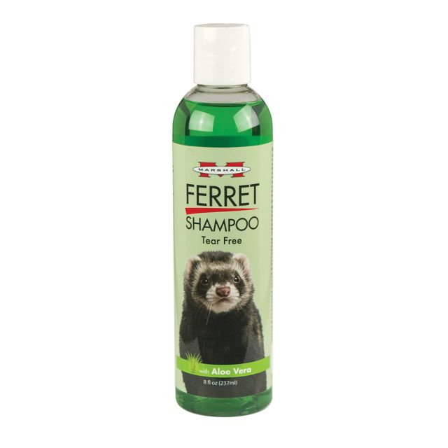 Marshall Tear Free Tea Tree Shampoo for Ferrets 8 oz - Exotic Wings and Pet Things