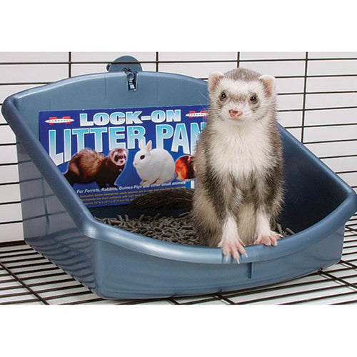 Marshall Lock-On High Back Litter Pan - Exotic Wings and Pet Things