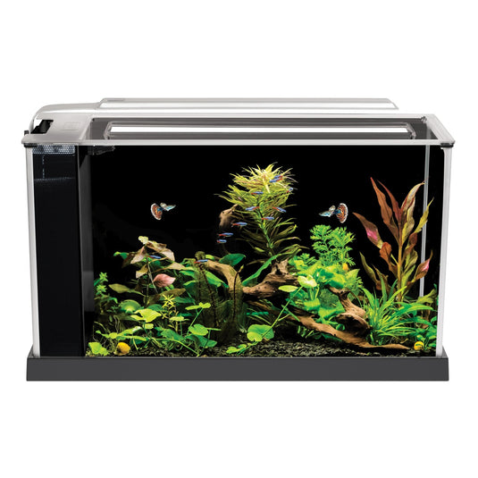 Fluval Spec Aquarium Kit - Black | Store Pickup Only