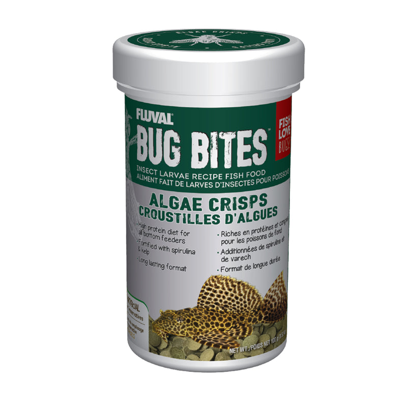 Bug Bites Algae Crisps