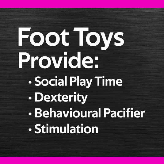 Billy Bird Toys Dumbbell Foot Bird - 4015 🍁