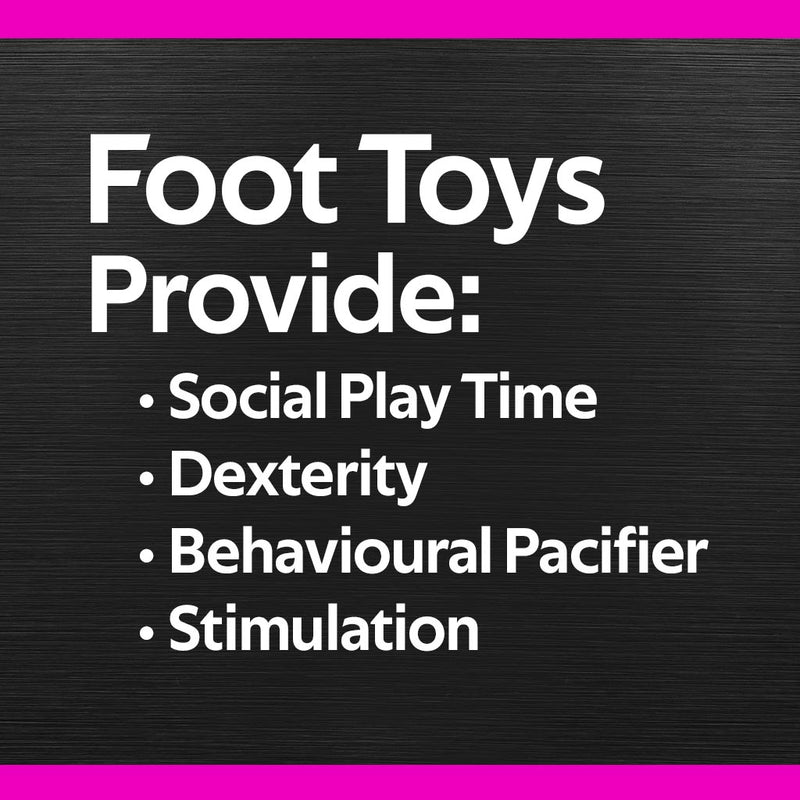 Billy Bird Toys Wiffle Foot Small Parrot - 4011 🍁
