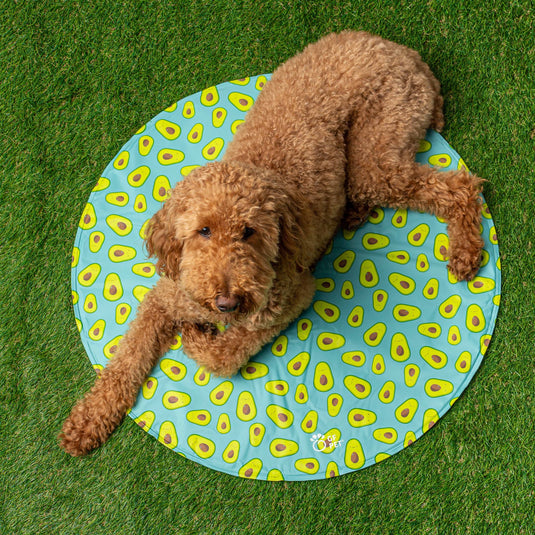 GF Pet Ice Mat Round