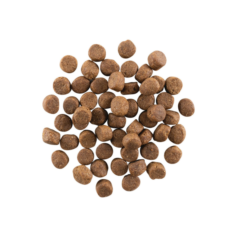 GO! Carnivore Grain Free Adult Dog Food - Chicken, Turkey & Duck 🍁
