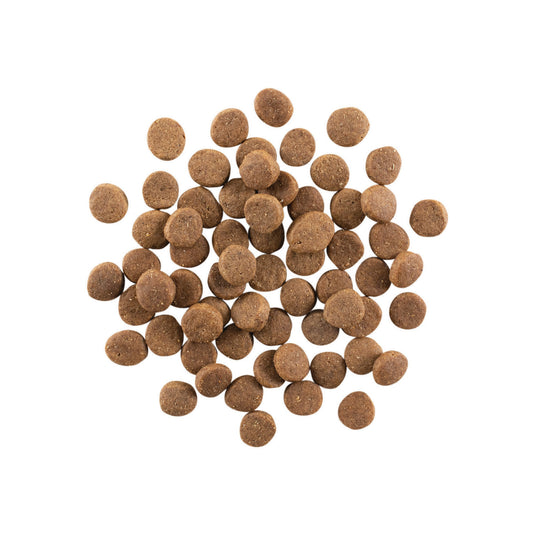 GO! Carnivore Grain Free Puppy Food - Chicken, Turkey & Duck 🍁