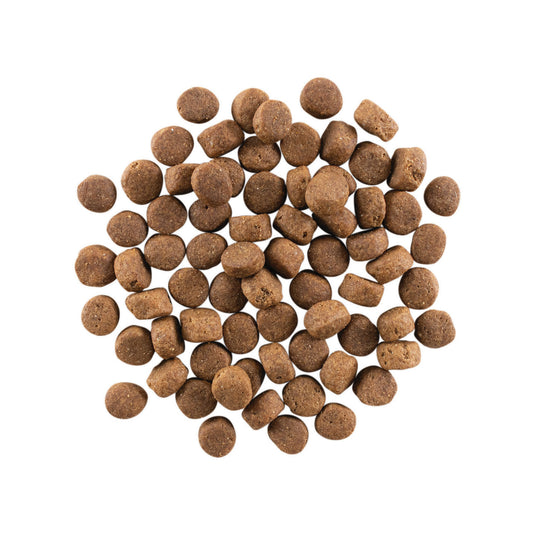 GO! Carnivore Grain Free Senior Dog Food - Chicken, Turkey & Duck 🍁