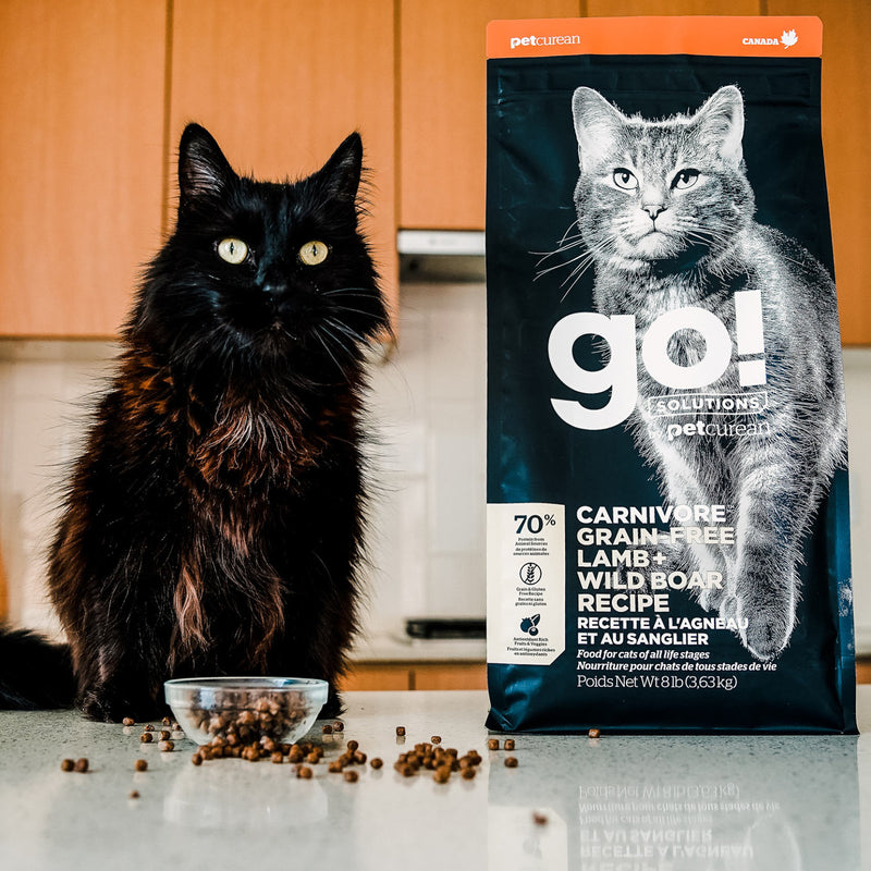 GO! Carnivore Grain Free Lamb & Wild Boar Cat Recipe 🍁

