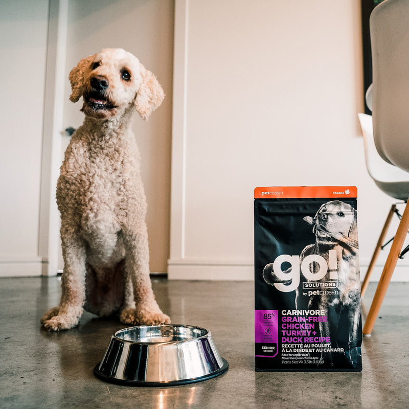 GO! Carnivore Grain Free Senior Dog Food - Chicken, Turkey & Duck 🍁
