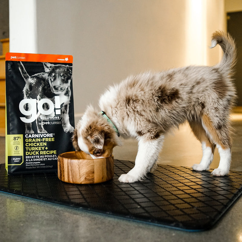 GO! Carnivore Grain Free Puppy Food - Chicken, Turkey & Duck 🍁
