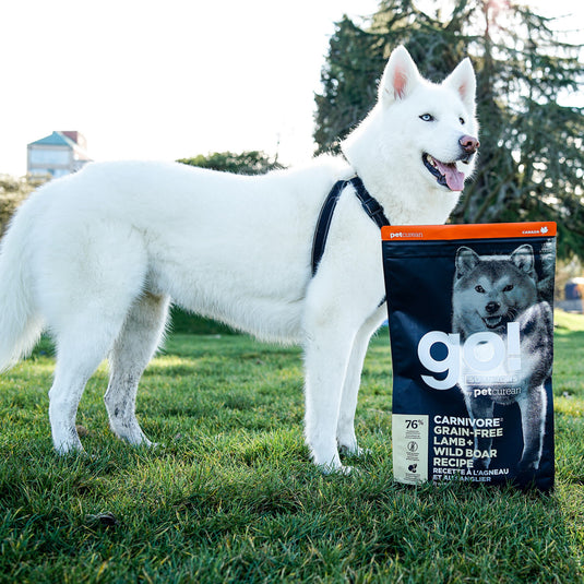 GO! Carnivore Grain Free Dog Food - Lamb & Wild Boar 🍁