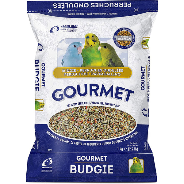 Parrot Seed - Quality Seed Mixes for Budgies, Conures, Parrots, etc