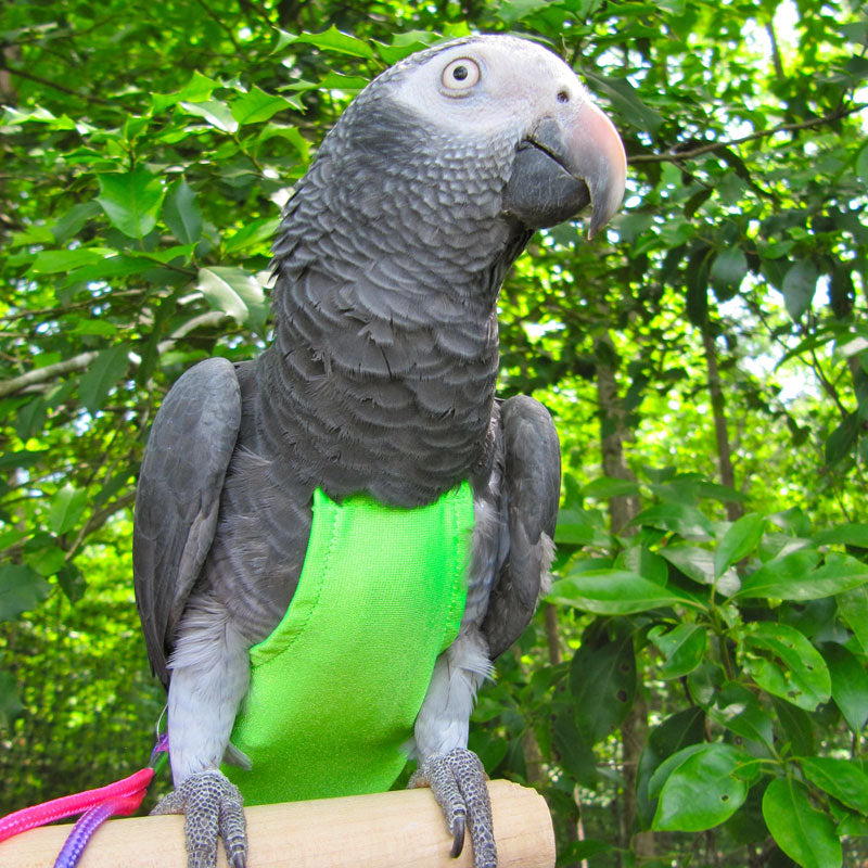 Avian Fashions Lime Green Flight Suit / Reusable Bird Diaper