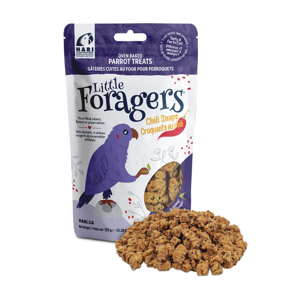 HARI Little Foragers Parrot Treats Chili Snaps - 82731