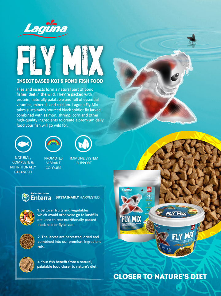Laguna Fly Mix Koi & Pond Fish Food - Exotic Wings and Pet Things