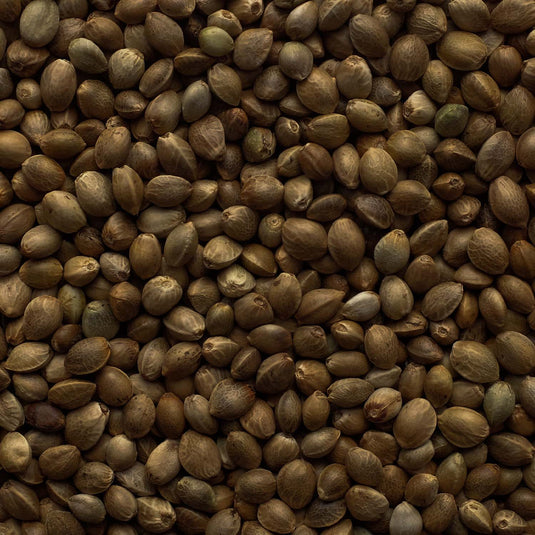 Hemp Seed - Superfood Cage Bird 🍁