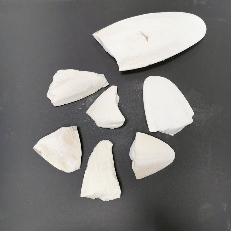 Cuttlebone Assorted & Broken Pieces - Unbleached / Unprocessed

