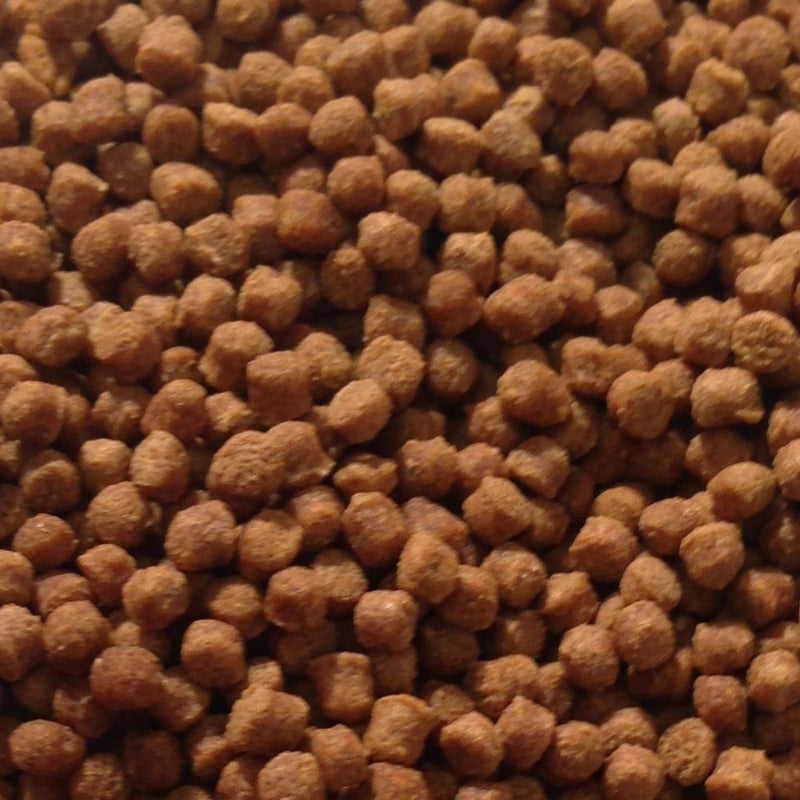 Omega One Newt and Salamander Sinking Pellets 1.2 oz
