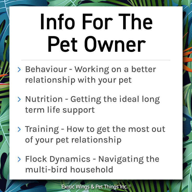 Avian Consulting
