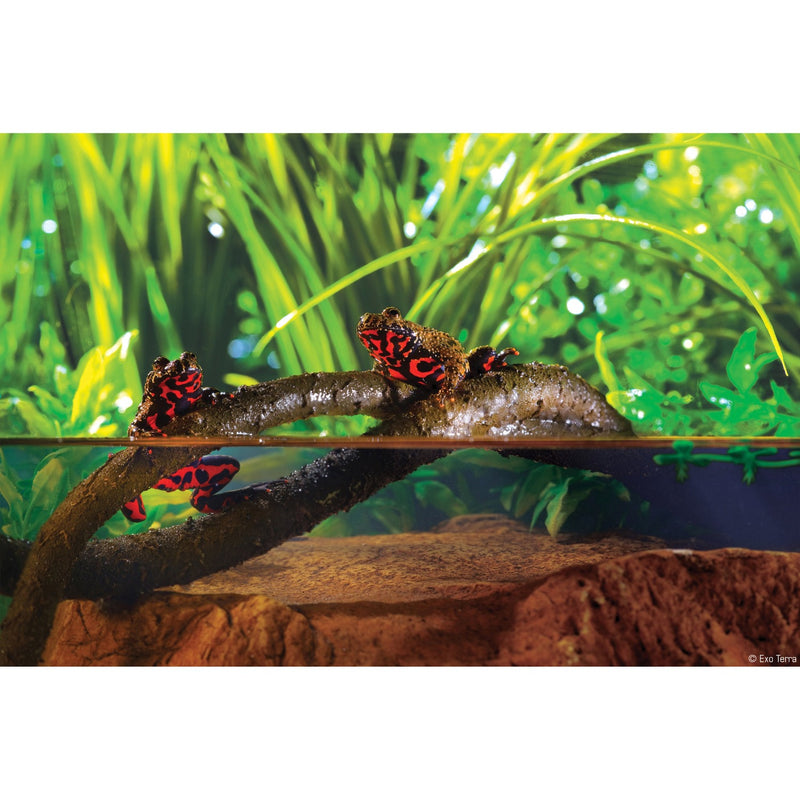 Jungle Decorative Reptile Terrarium Vine SM-LG