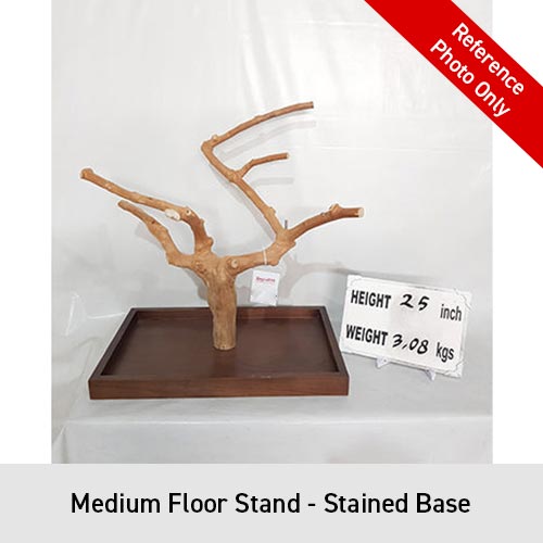 A&E Enrichment Java Wood Table Top Stand - In Stock