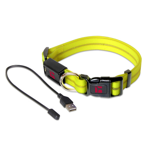 UltraHund Play LED Collar Large