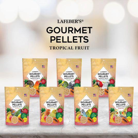 Lafeber's Tropical Fruit Gourmet Cockatiel/Small Bird Pellet