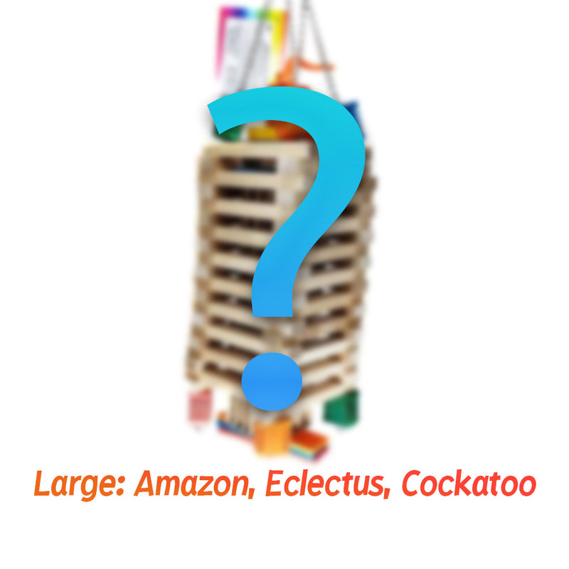 Exotic Wings Parrot Package ™ Bird Toy Care Package
