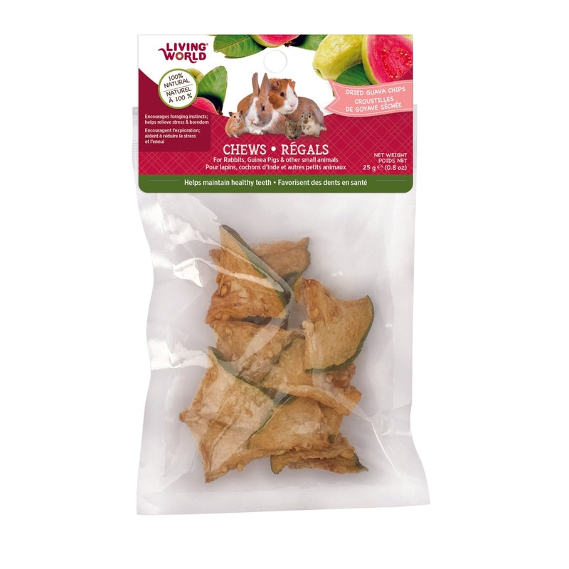 Living World Dried Guava Chips Small Pet Chews - 61110