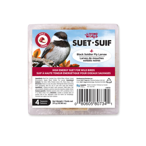 Living World Apple & Black Soldier Fly Larvae Suet Wild Bird