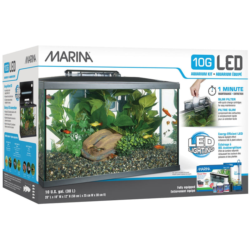 Marina LED Glass Aquarium Kit (5,10,20 gal) | Store Pickup Only