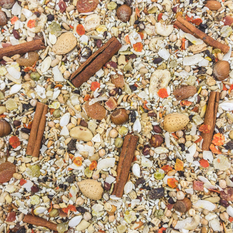 Higgins Mayan Harvest Celestial Seed Mix
