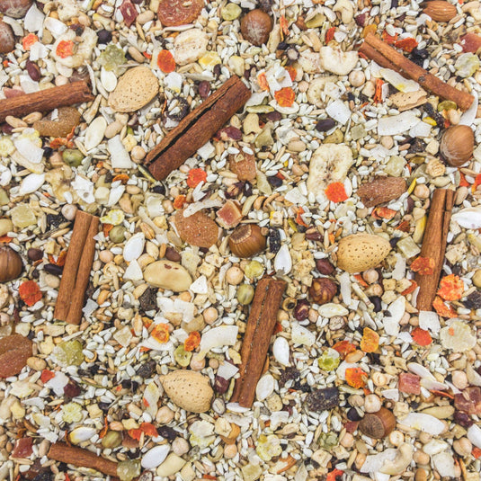 Higgins Mayan Harvest Celestial Seed Mix