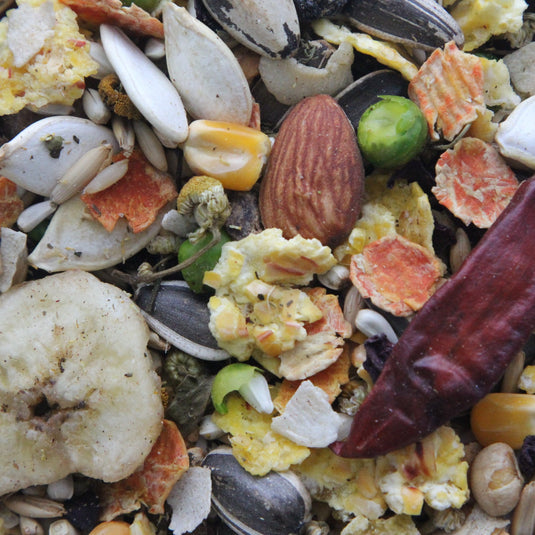 Higgins Mayan Harvest Tikal Seed Mix