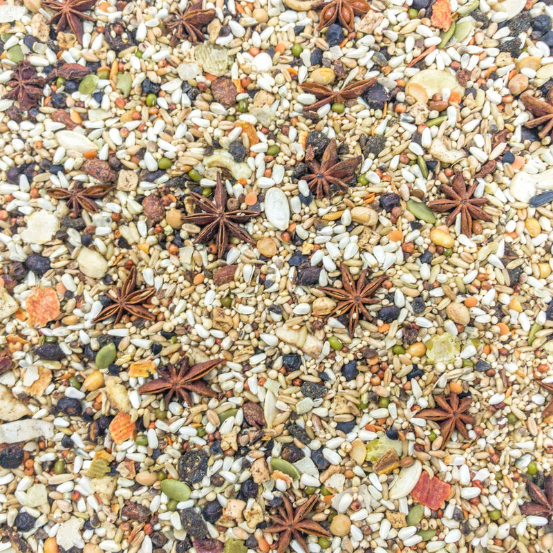 Higgins Mayan Harvest Yucatan Seed Mix
