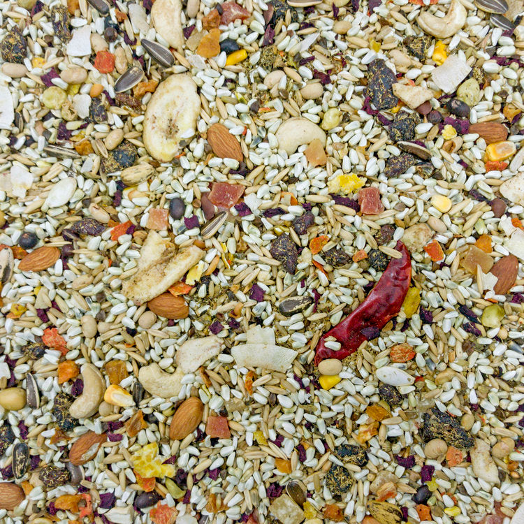 Higgins Mayan Harvest Tikal Seed Mix - Exotic Wings and Pet Things
