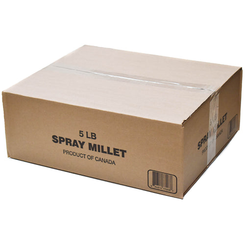 Premium Top #1 Grade Spray Millet 🍁