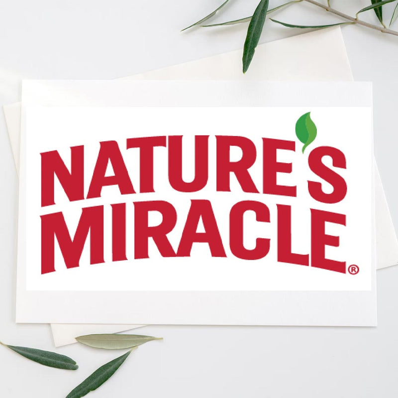 Nature's Miracle Advanced Cat Stain & Odor Foam 17.5 oz
