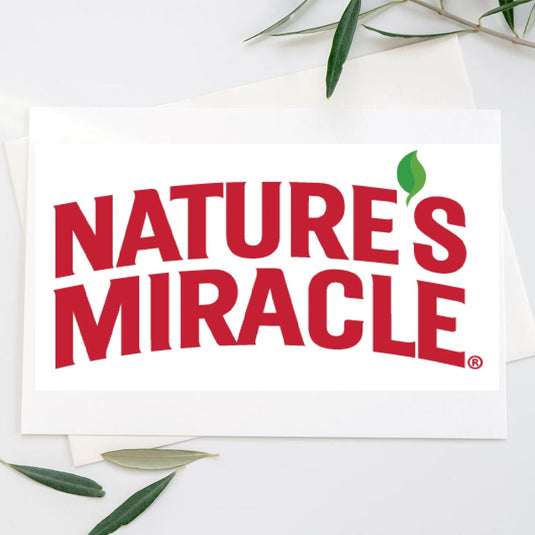 Nature's Miracle Advanced Cat Stain & Odor Foam 17.5 oz