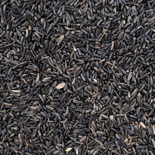 Nyjer Seed - Cage/Wild Bird 🍁