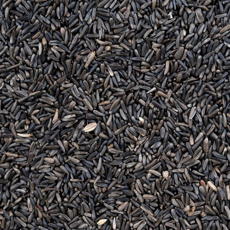 Nyjer Seed - Cage/Wild Bird 🍁
