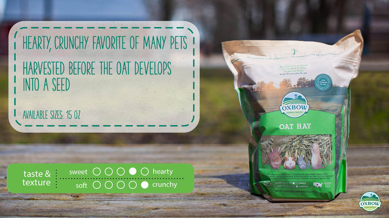 Load and play video in Gallery viewer, Oxbow Oat Hay 15 oz
