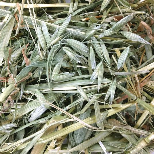 Oxbow Oat Hay 15 oz